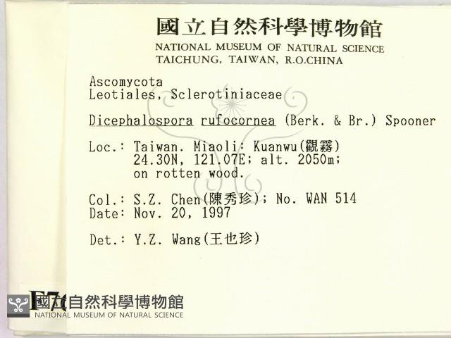 登錄號:F0007698藏品圖，第2張