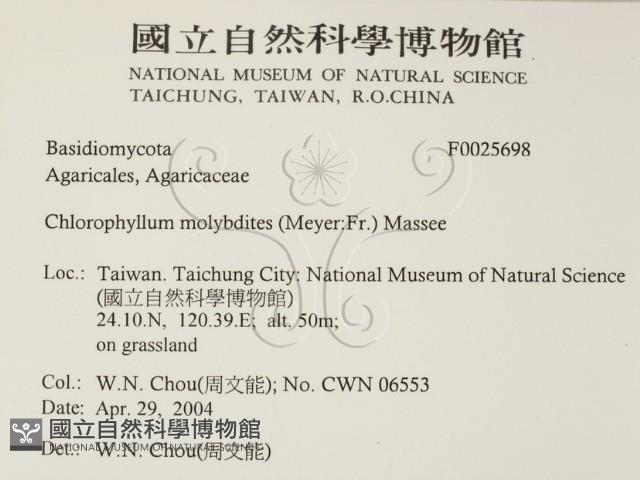 登錄號:F0025698藏品圖，第2張