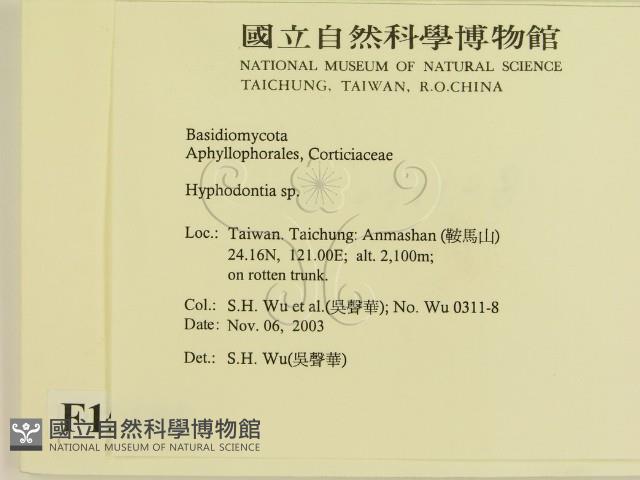 登錄號:F0015698藏品圖，第2張