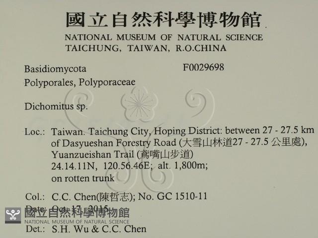 登錄號:F0029698藏品圖，第2張