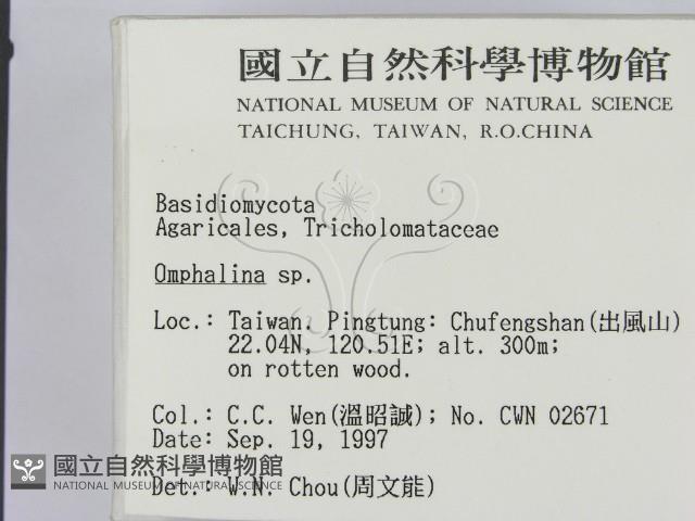 登錄號:F0009698藏品圖，第2張