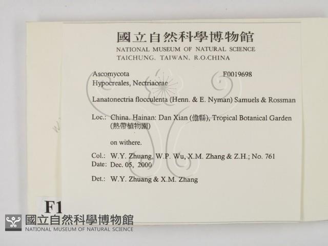 登錄號:F0019698藏品圖，第2張