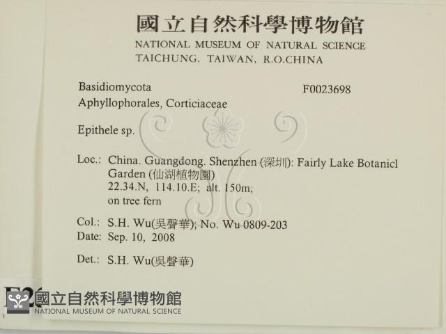 登錄號:F0023698藏品圖，第2張