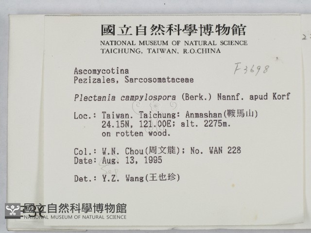 登錄號:F0003698藏品圖，第2張