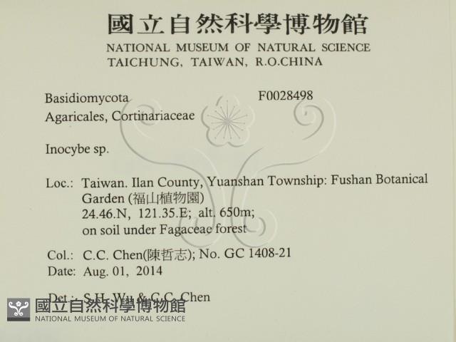 登錄號:F0028498藏品圖，第2張