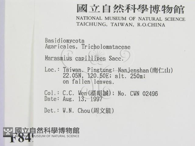 登錄號:F0008498藏品圖，第2張