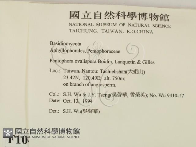 登錄號:F0010498藏品圖，第2張