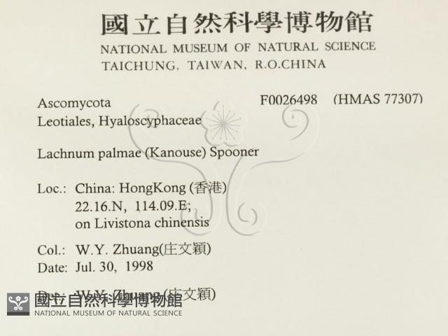 登錄號:F0026498藏品圖，第2張