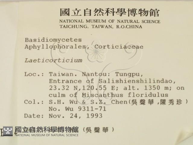 登錄號:F0001498藏品圖，第2張