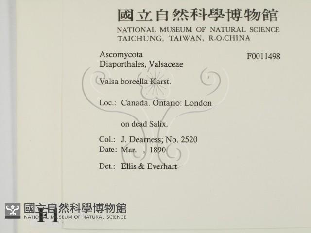 登錄號:F0011498藏品圖，第2張