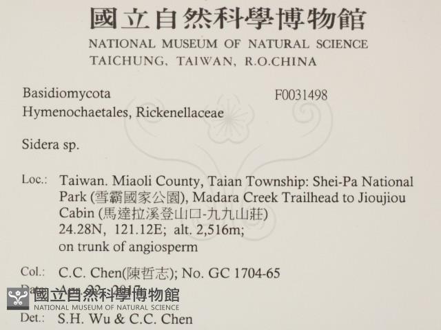 登錄號:F0031498藏品圖，第2張