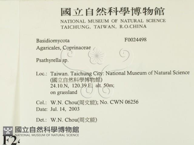 登錄號:F0024498藏品圖，第2張