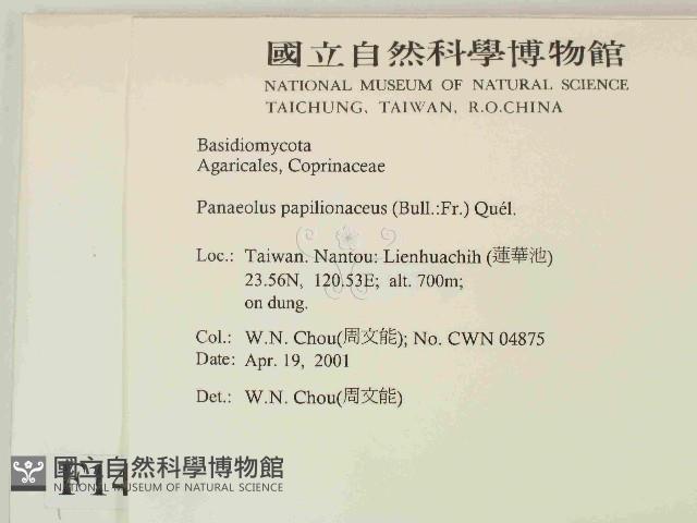 登錄號:F0014498藏品圖，第2張