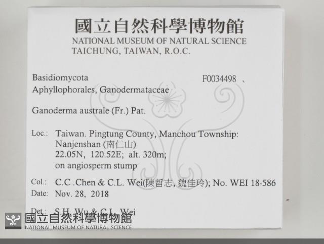 登錄號:F0034498藏品圖，第2張