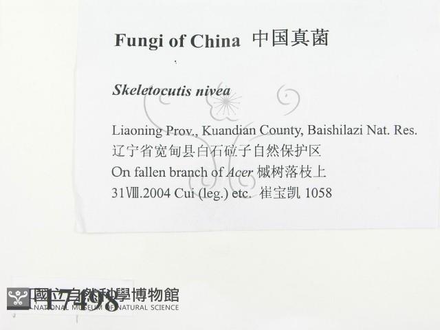 登錄號:F0017498藏品圖，第2張