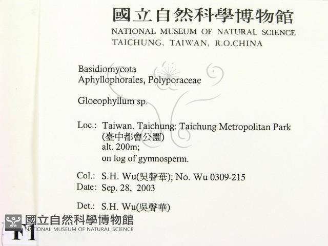登錄號:F0015498藏品圖，第2張