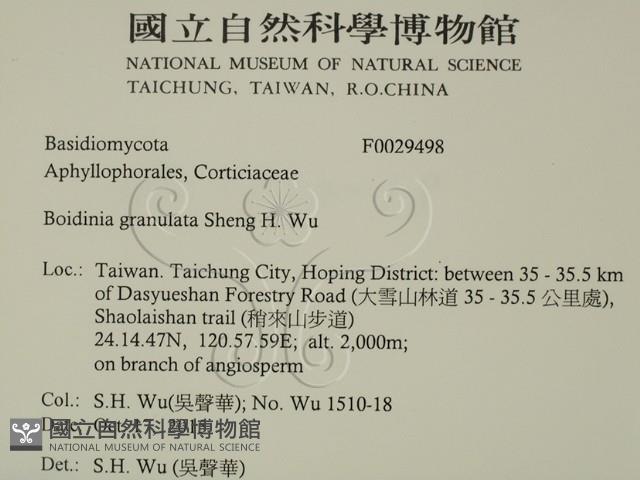 登錄號:F0029498藏品圖，第2張