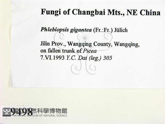 登錄號:F0009498藏品圖，第2張