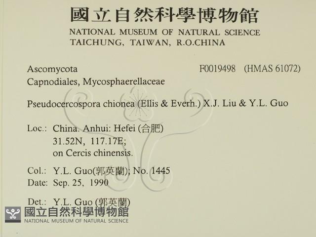 登錄號:F0019498藏品圖，第2張