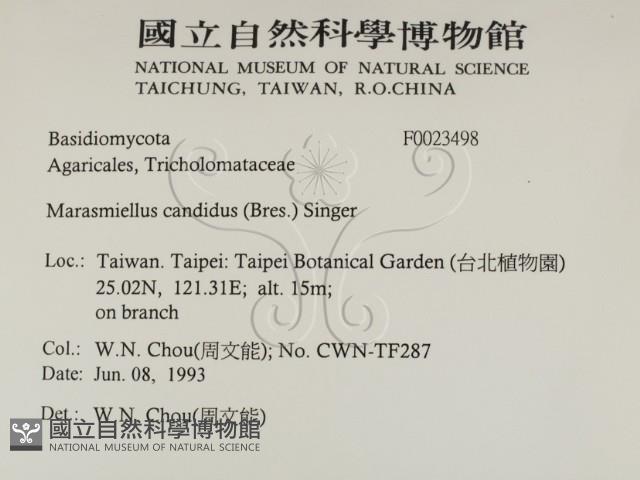 登錄號:F0023498藏品圖，第2張