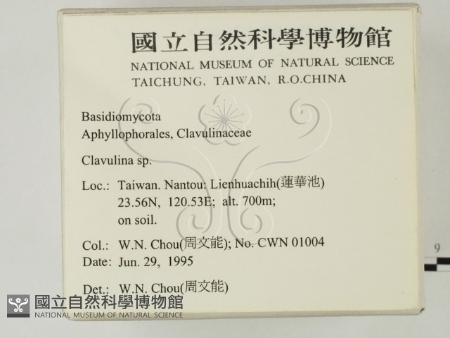登錄號:F0003498藏品圖，第2張
