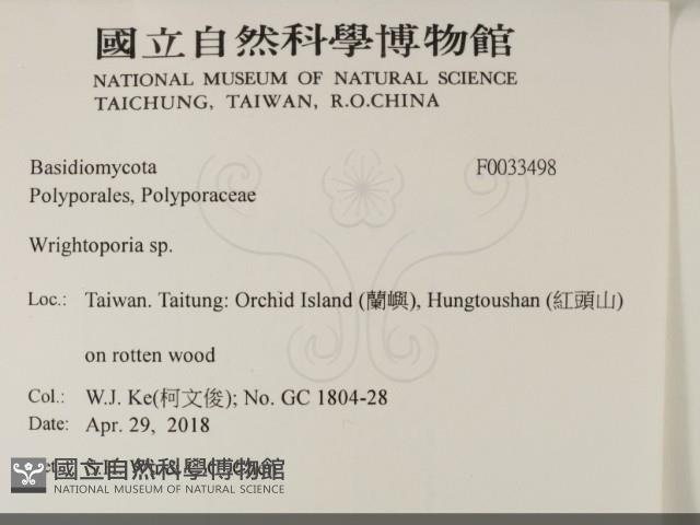 登錄號:F0033498藏品圖，第2張