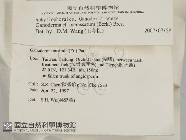 登錄號:F0008798藏品圖，第2張