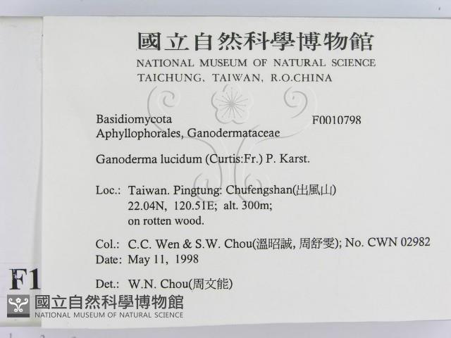 登錄號:F0010798藏品圖，第2張