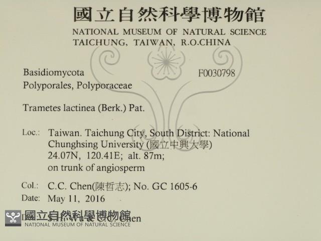 登錄號:F0030798藏品圖，第2張