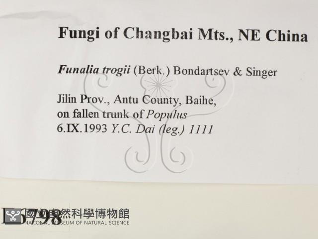 登錄號:F0006798藏品圖，第2張