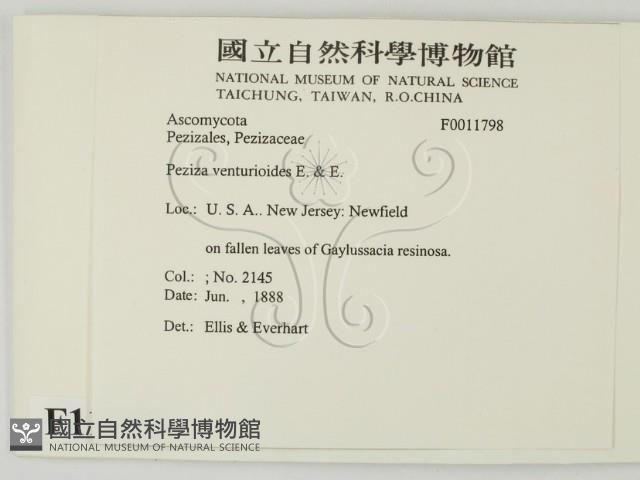 登錄號:F0011798藏品圖，第2張