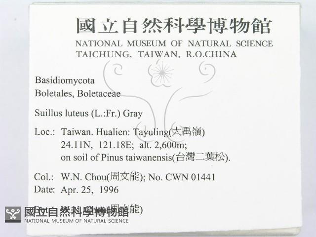登錄號:F0004798藏品圖，第2張