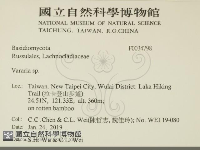 登錄號:F0034798藏品圖，第2張