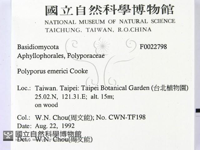 登錄號:F0022798藏品圖，第2張