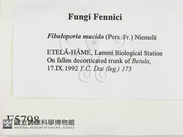 登錄號:F0005798藏品圖，第2張