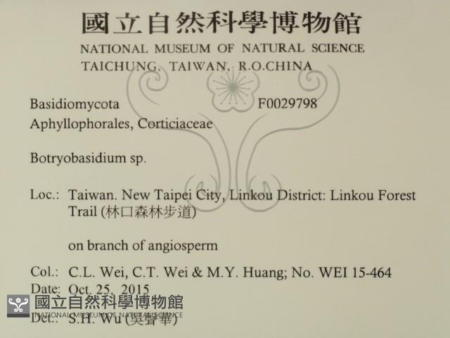 登錄號:F0029798藏品圖，第2張