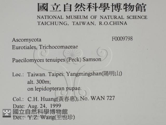 登錄號:F0009798藏品圖，第2張