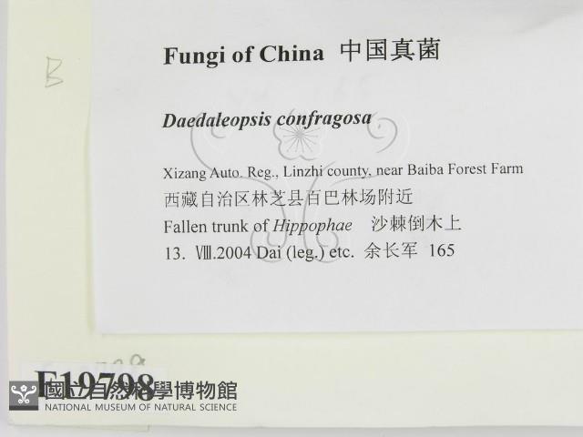 登錄號:F0019798藏品圖，第2張