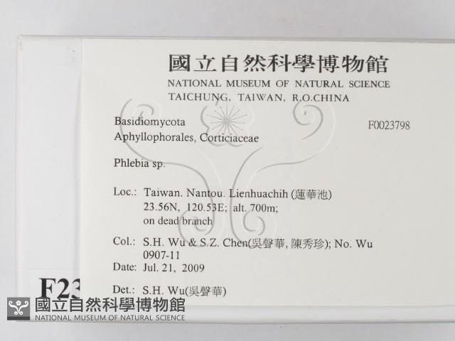 登錄號:F0023798藏品圖，第2張