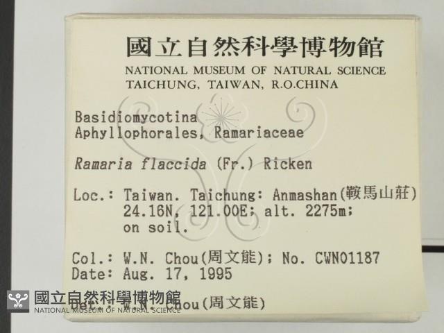 登錄號:F0003798藏品圖，第2張