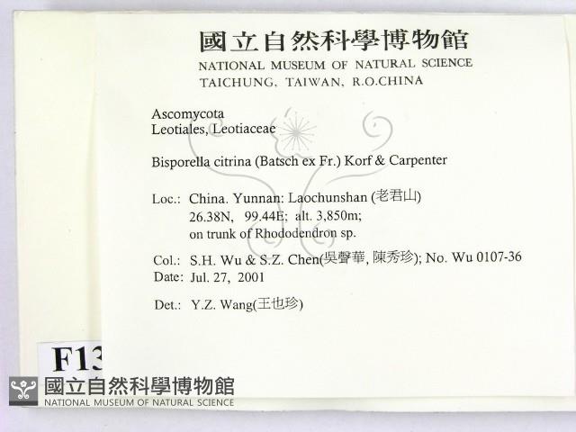 登錄號:F0013798藏品圖，第2張