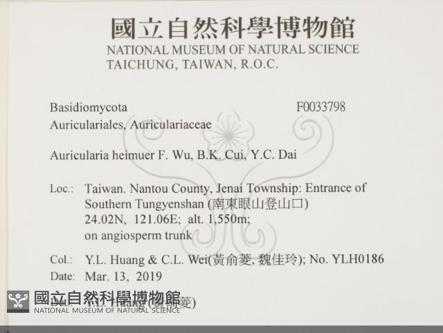 登錄號:F0033798藏品圖，第2張