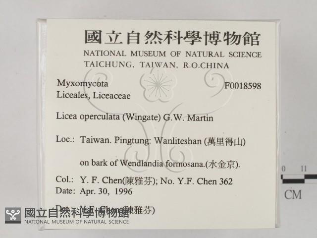 登錄號:F0018598藏品圖，第2張