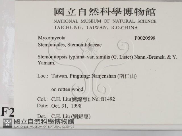 登錄號:F0020598藏品圖，第2張
