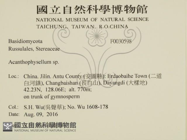 登錄號:F0030598藏品圖，第2張