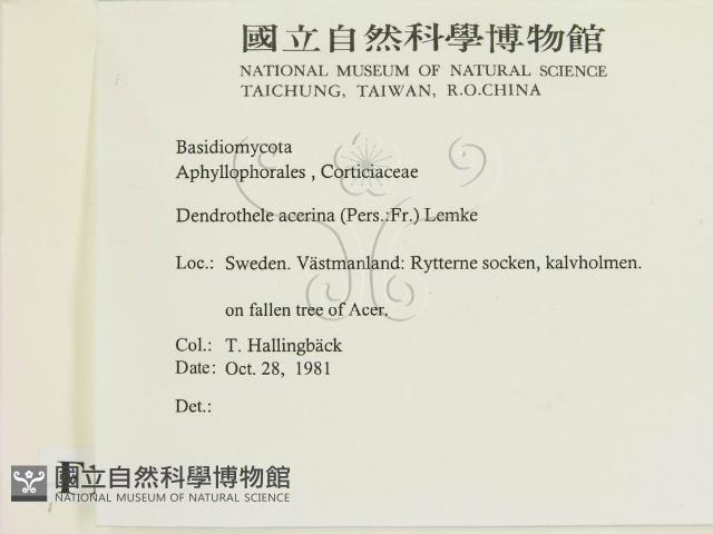 登錄號:F0016598藏品圖，第2張