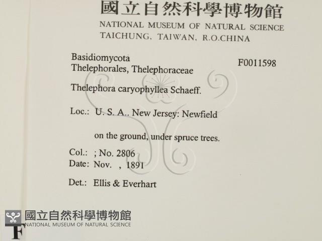 登錄號:F0011598藏品圖，第2張