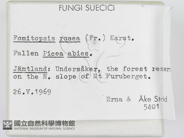 登錄號:F0004598藏品圖，第2張