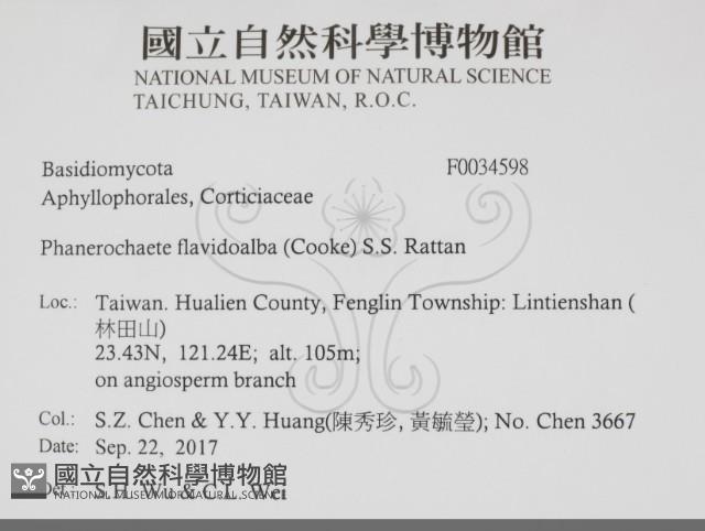 登錄號:F0034598藏品圖，第2張