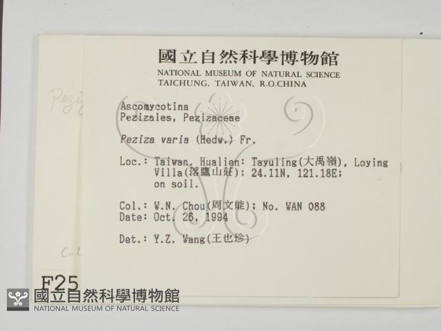 登錄號:F0002598藏品圖，第2張